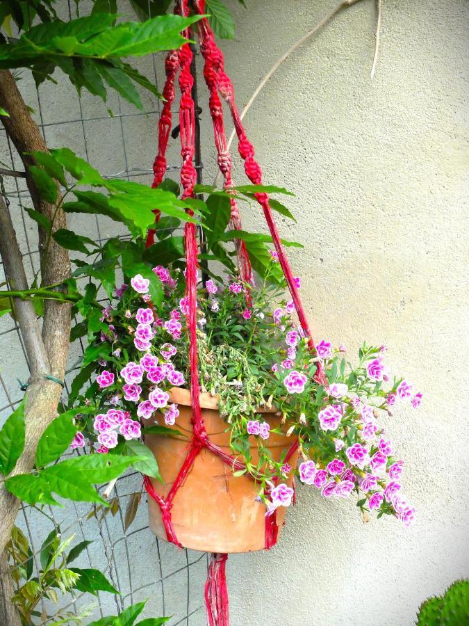 La Cheta Villa Monsagrati ภายนอก รูปภาพ